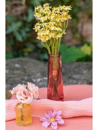 EINZELBLUMENVASE SAMBA PINK LADY DIA 5CM X 14.5CM