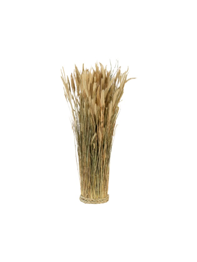 BOTTE LAGURUS NATUREL DIA 12CM X 55CM