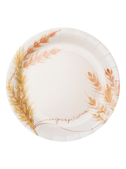8 TELLER PLASTIC FREE EIN KOSTBARER TAG 23CM