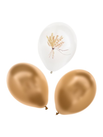 SET 6 BALLONS LATEX EIN KOSTBARER TAG DIA 27CM