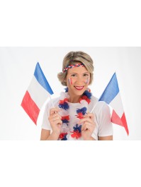 FRENCH FLAG ON STEM FLAG 20CM X 30CM - STEM 33CM