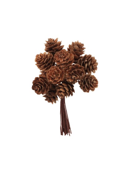 BRANCH 12 MINI NATURAL PINE CONES 10 X 11CM HT