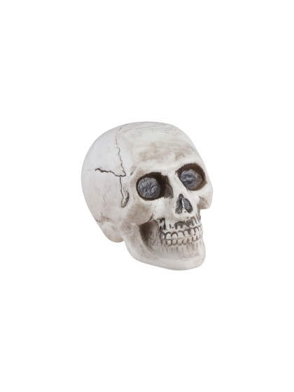 PLASTIC SKULL 9CM X 13CM X 10.5CM