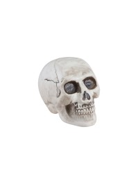 PLASTIC SKULL 9CM X 13CM X 10.5CM