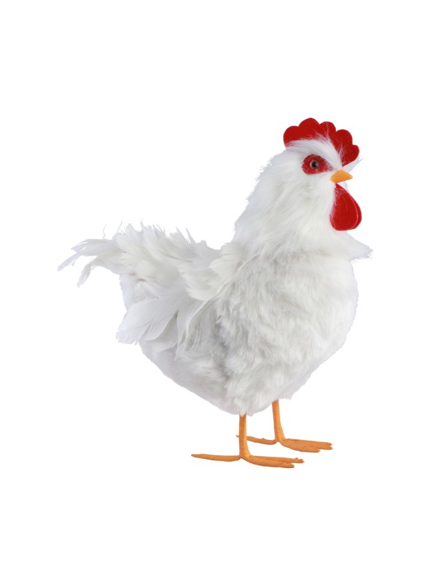 POULE BLANCHE PLUMES 30CM X 15CM X 33CM