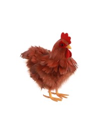 POULE ROUSSE PLUMES PM 20CM X 12CM X 20CM