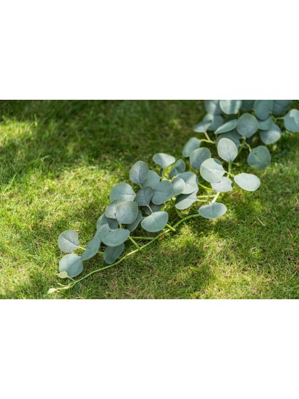 YUCALYPTUS GARLAND 173CM