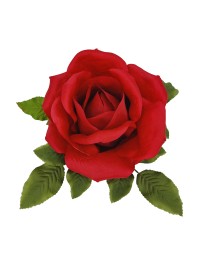 TETE DE ROSE ROUGE DIA 28CM X 18CM