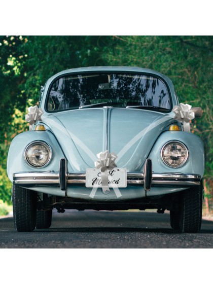 CAR KIT 5 PIECES WHITE WITH SILVER BOW 