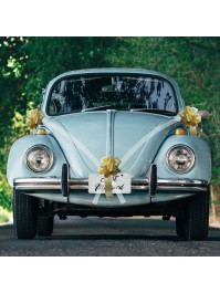 CAR KIT 5 PIECES WHITE WITH GOLDEN BOW 