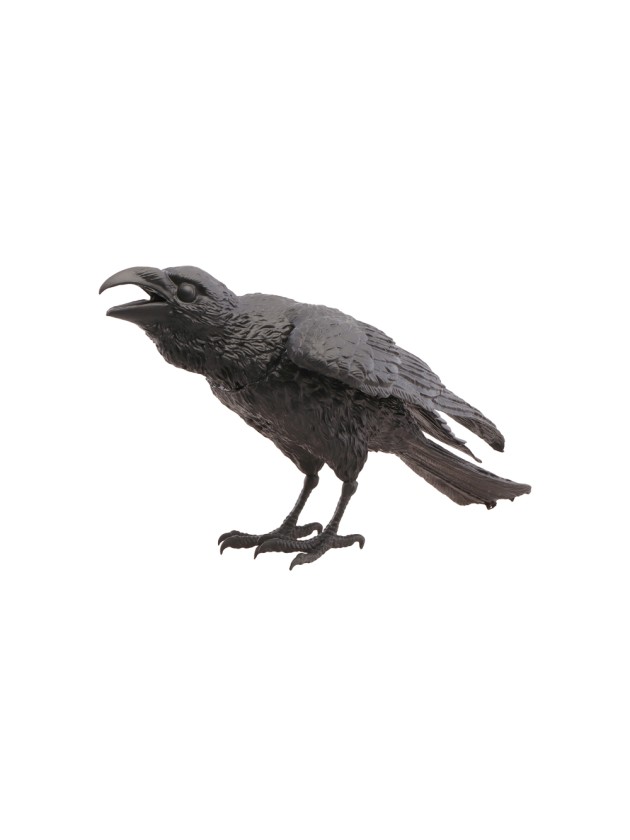 FOAM BLACK RAVEN 26CM X 13CM X 12CM