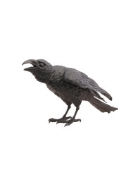 FOAM BLACK RAVEN 26CM X 13CM X 12CM