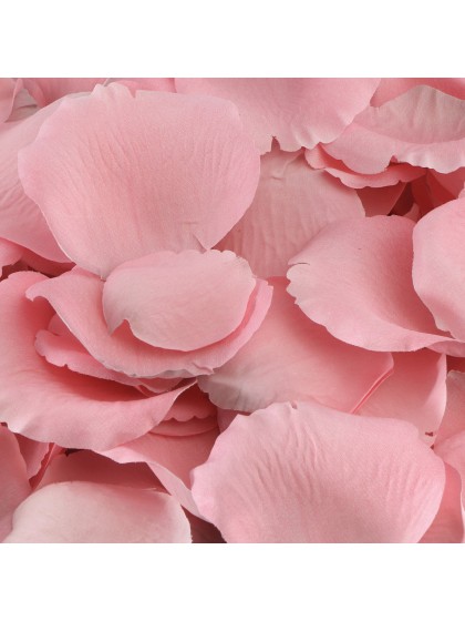 SACHET 250 PETALES DE ROSES 3D ROSE ENV 4CM X 4CM