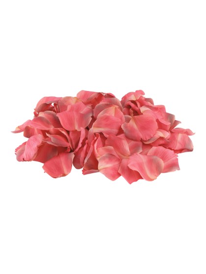 BAG OF 250 3D RASPBERRY ROSE PETALS AROUND 4CM X 4CM