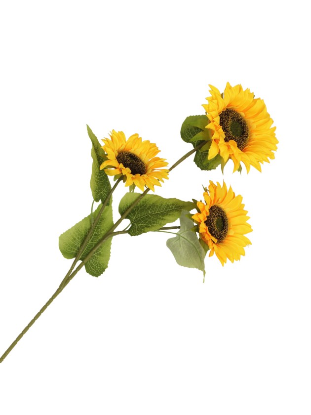 AST 3 SONNENBLUMEN 32CM X 12CM X 94CM