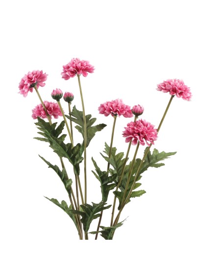 BUNCH 3 RASPBERRY TAGETE STEMS 12CM X 8CM X 59CM