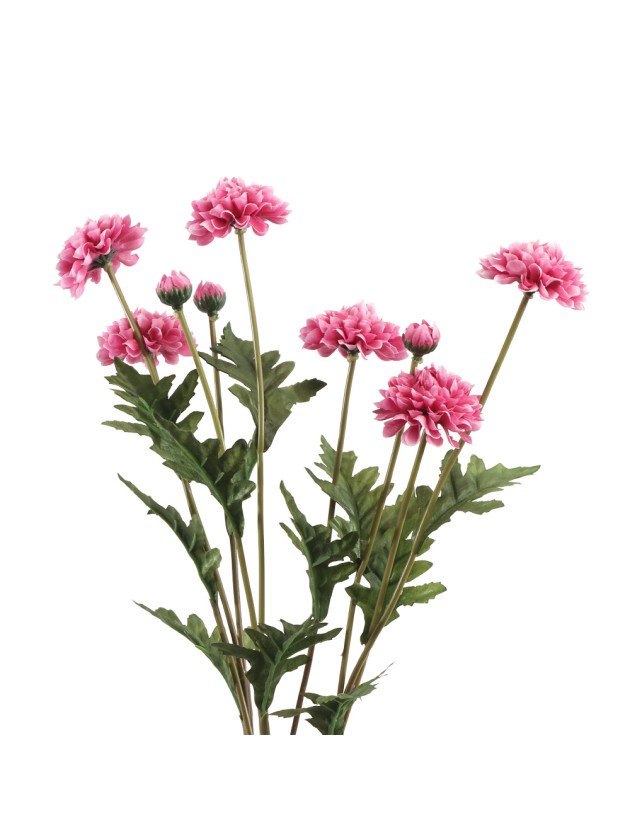 BUNCH 3 RASPBERRY TAGETE STEMS 12CM X 8CM X 59CM