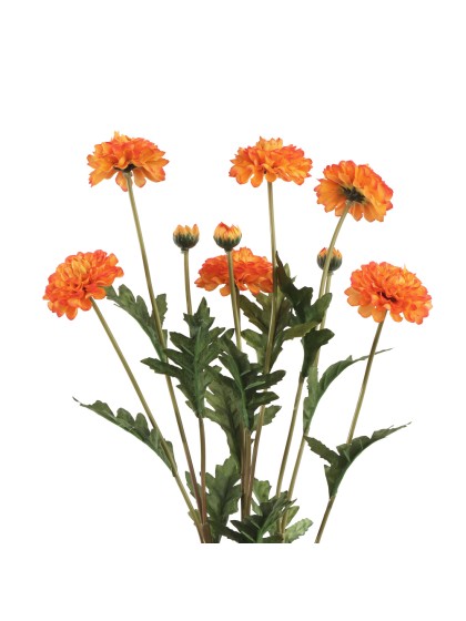 BUNCH 3 ORANGE TAGETE STEMS 12CM X 8CM X 59CM
