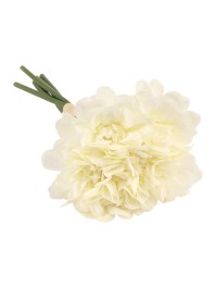 BOUQUET 6 CAMELIA BLANCHES DIA 11CM X 23CM