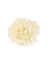 BOUQUET 6 CAMELIA BLANCHES DIA 11CM X 23CM