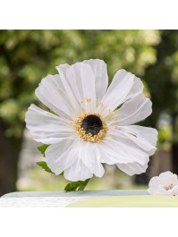 ANEMONE GEANTE SUR TIGE DIA 30CM X 105CM