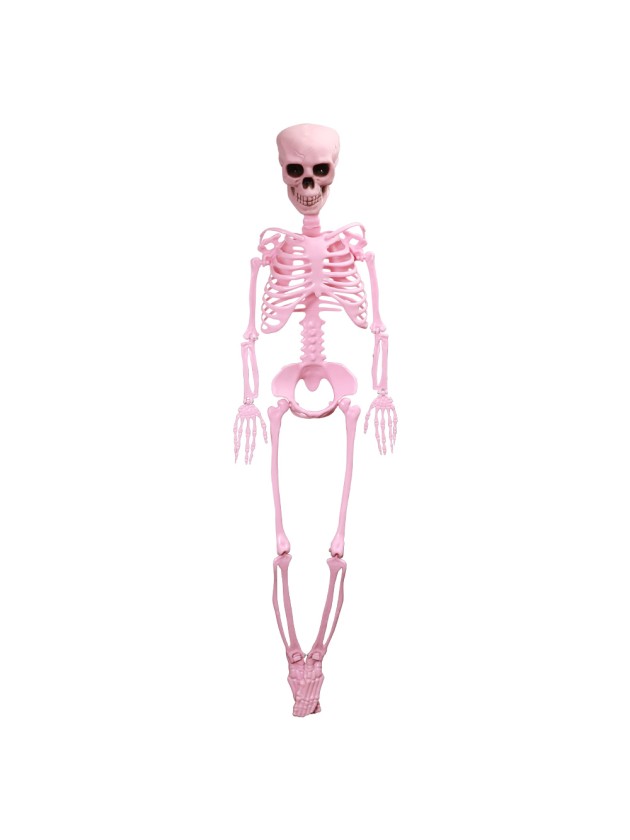 SQUELETTE ARTICULE ROSE SUMMERWEEN 1M