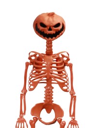 SKELETT  BEWEGLICH KOPF AUS KÜRBIS ORENGEL SUMMERWEEN 1M