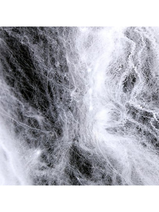 TOILE D’ARAIGNEE BLANCHE 500GR