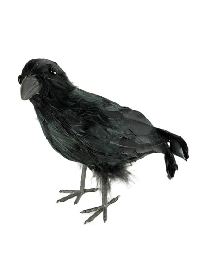 RABE FEDERN 32 CM