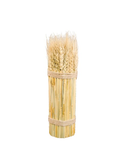 BOTTE EPI DE BLE NATUREL 8CM X 28CM