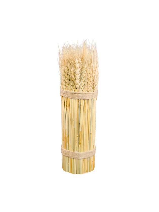 BOTTE EPI DE BLE NATUREL 8CM X 28CM