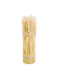 BUNDLE OF NATURAL EAR OF WHEAT 8CM X 28CM