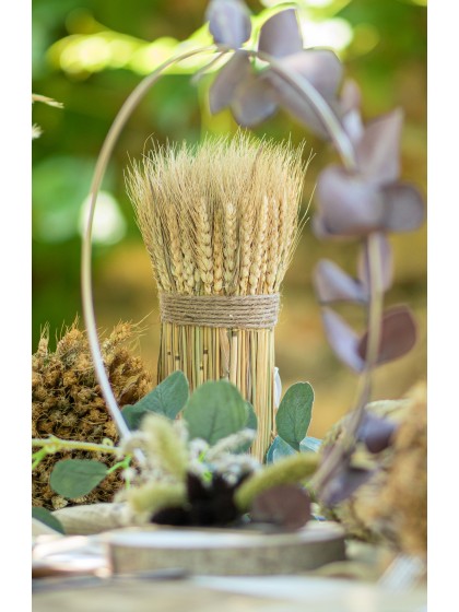 BUNDLE OF NATURAL EAR OF WHEAT 8CM X 28CM