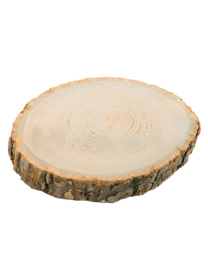 RONDIN BOIS DIA ENV 30CM X 2CM