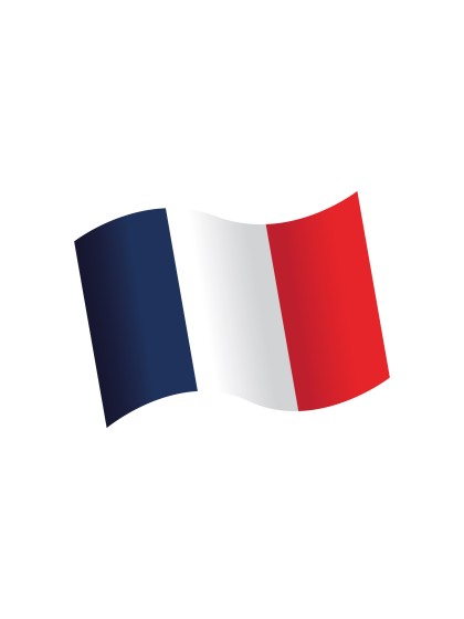 SACHET 16 CONFETTI DE TABLE BOIS DRAPEAU FRANCE 3.7CM X 3CM