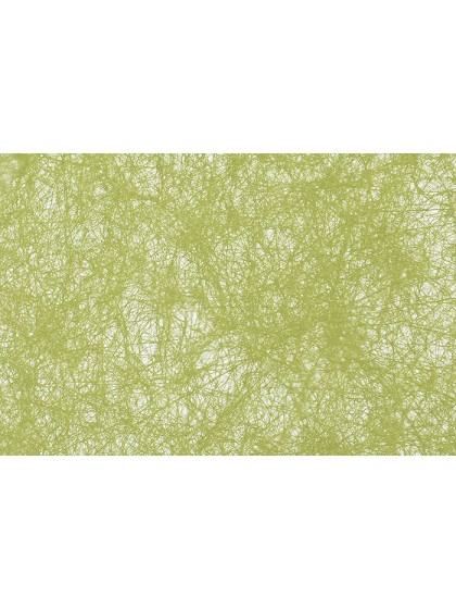 10 SETS DE TABLE CARRE ROMANCE KIWI 34CM
