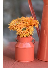 TOPF MILCHMIT HENKEL TENGELRINE DIA 5CM X 9CM