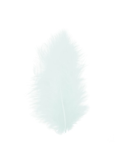 5 LIGHT GREEN FEATHERS 10-15CM