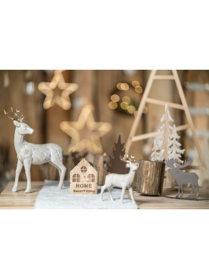 HAUS LEUCHTEND MIT LEDs 9CM X 3.5CM X 12CM