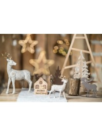 HAUS LEUCHTEND MIT LEDs 9CM X 3.5CM X 12CM