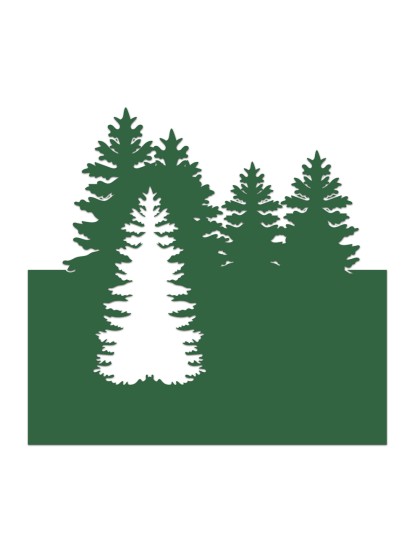 SET 6 MARQUE PLACE KRAFT VERT FORET 8CM X 8CM