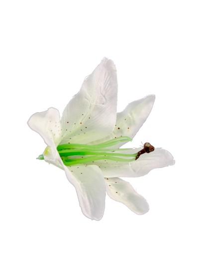 BEUTEL 6 BLUMEN TROPISCHE WEISS 13CM X 12CM
