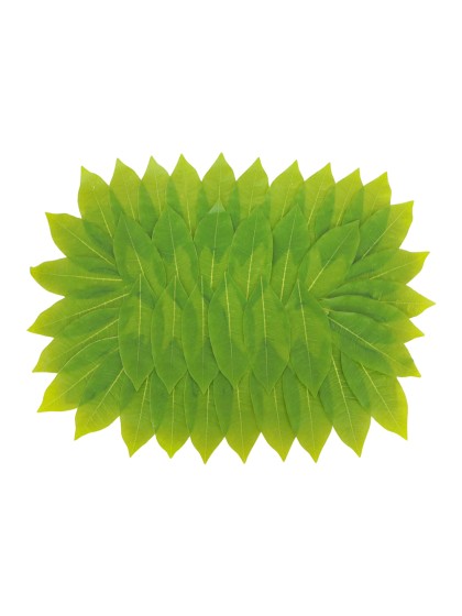 PACHIRA LEAVES TABLE CENTER 60CM X 45CM