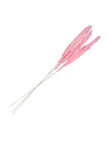 3 STIELE HERBE AUS PAMPASGRAS ROSA 100-135CM