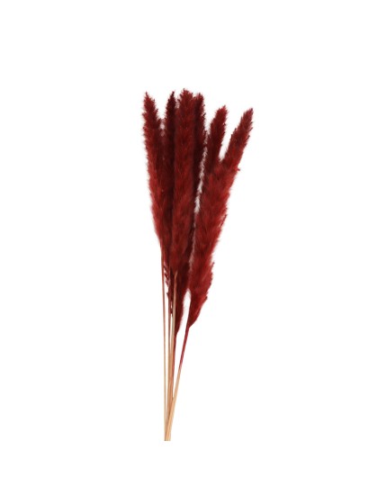 BLUMENSTRAUSS 6 STIELE HERBE AUS PAMPASGRAS BORDEAUX 65-75CM