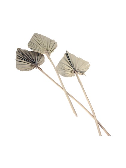 10 BLÄTTER AUS PALME AUSSCHNITTES NATUR 55CM