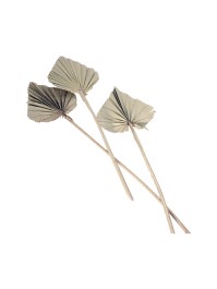 10 FEUILLES DE PALMIER DECOUPEES NATUREL 55CM