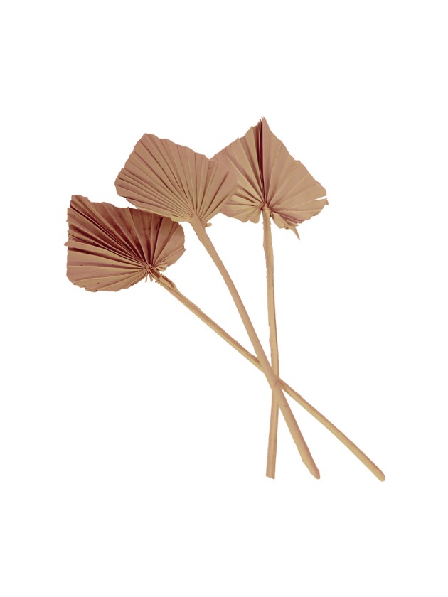 10 BLÄTTER AUS PALME AUSSCHNITTES ROSA DESERT 55CM