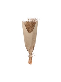 BUNCH OF NATURAL LINEN GRASS 100G 60CM