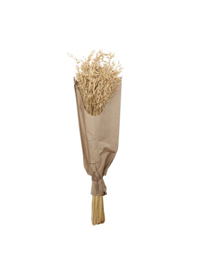 BLUMENSTRAUSS HAFER NATUR 100G 70CM